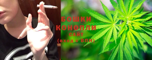 гашик Михайлов