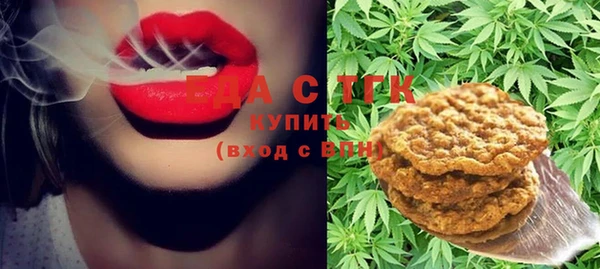 гашик Михайлов