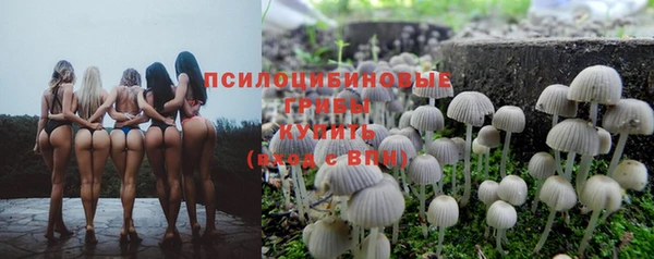 ALPHA PVP Надым
