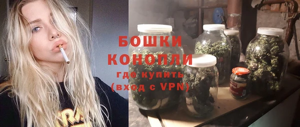 гашик Михайлов