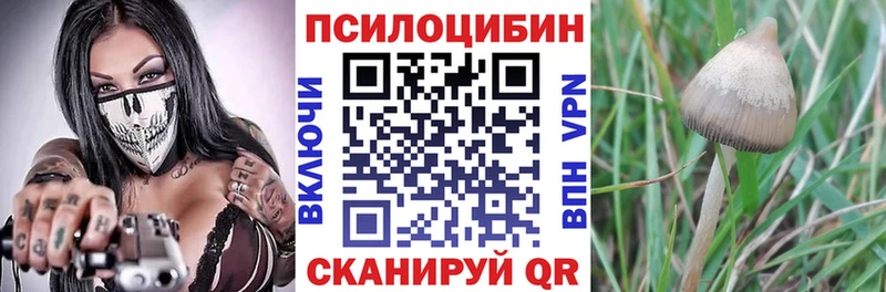 Галлюциногенные грибы мухоморы  закладки  Щёлково 